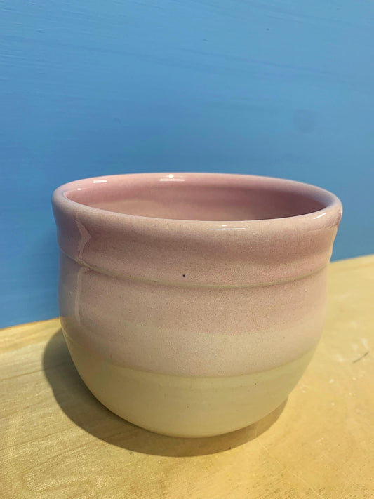 Pink and White succulent pot